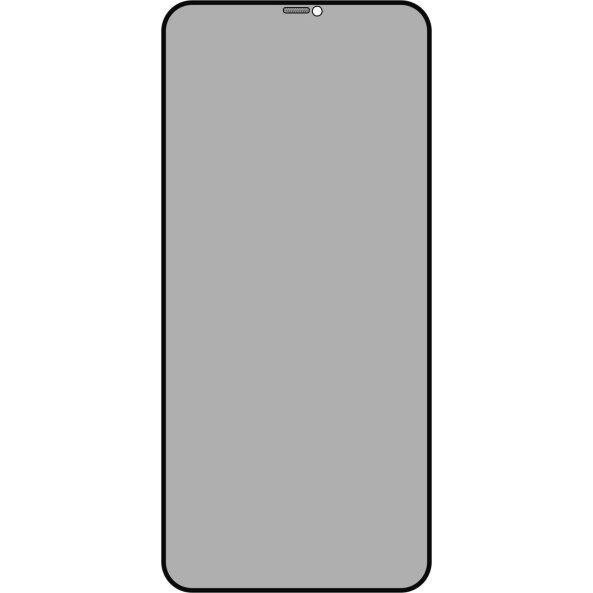 Folie de protectie Ecran Privacy OEM OG Premium pentru Apple iPhone 11 / XR, Sticla Securizata, Full Glue 