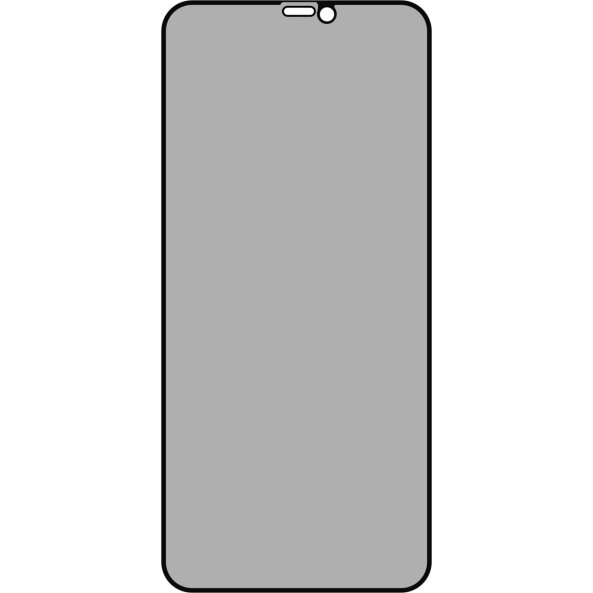 Folie de protectie Ecran Privacy OEM pentru Apple iPhone 11 Pro / XS / X, Sticla Securizata, Full Glue, 5D 