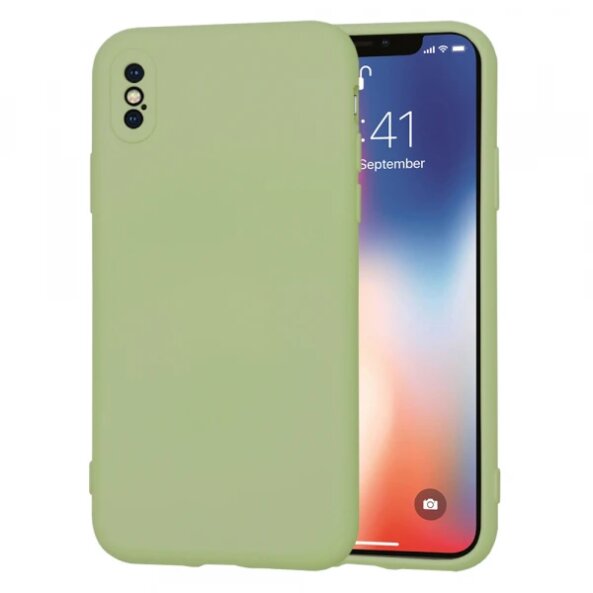 Husa pentru Apple iPhone XS / X, Techsuit, SoftFlex, Verde Deschis