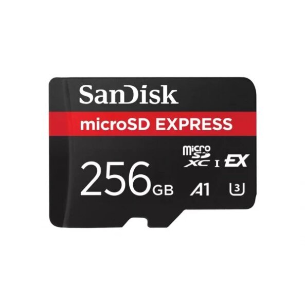 Card Memorie microSDXC SanDisk Express, 256Gb, Clasa 10 / UHS-1 U3 SDSQXFN-256G-GN4NN 